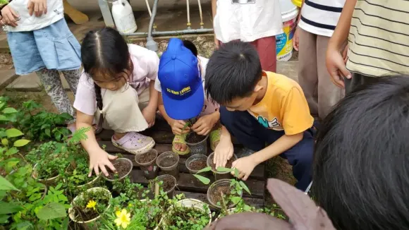 Chương Trình Học Mộc Hạ Waldorf – Phương Pháp Giáo Dục Nuôi Dưỡng Tự Nhiên Và Toàn Diện